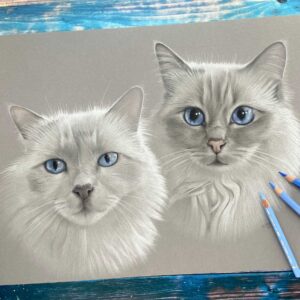 Ein Doppel-Katzenportrait ist ein echter Blickfang