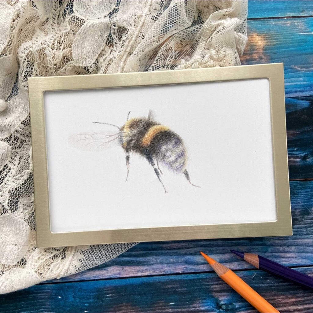 Buntstift-Zeichnung einer Biene in einem goldenen Rahmen