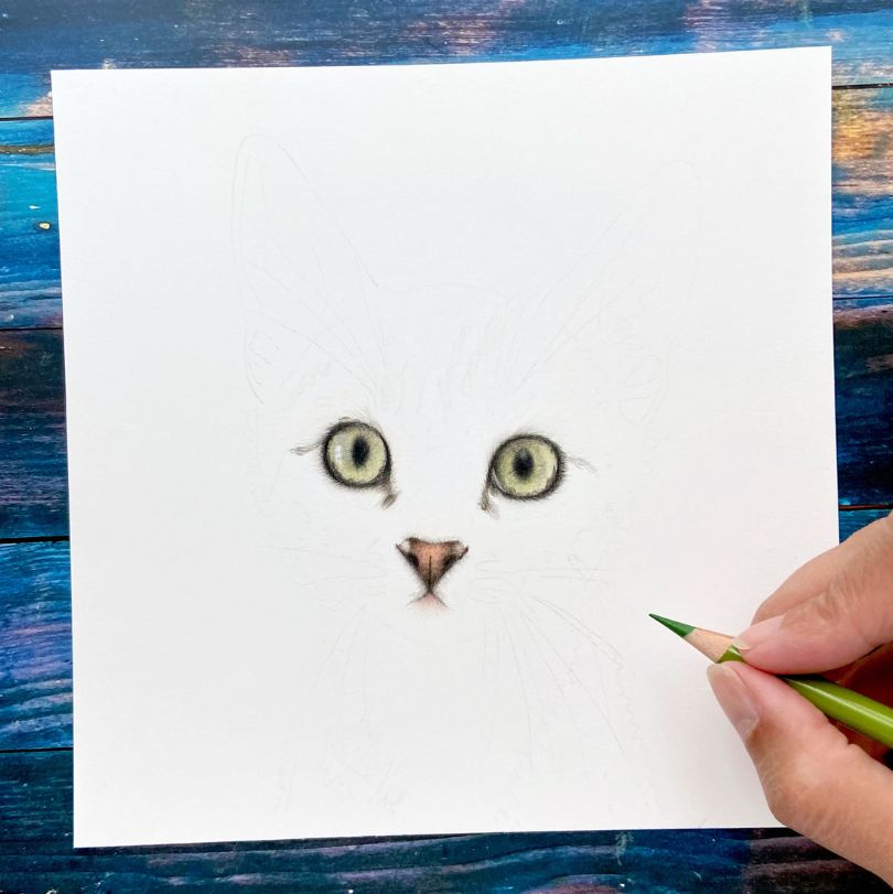 Wie ein Tierportrait nach Fotovorlage entsteht - zunächst zeichne ich die Augen
