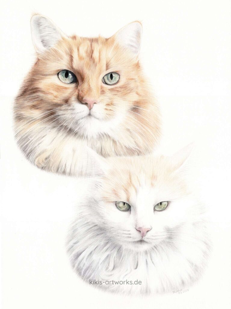 Zeichnung zweier Katzen-Kopf-Portraits