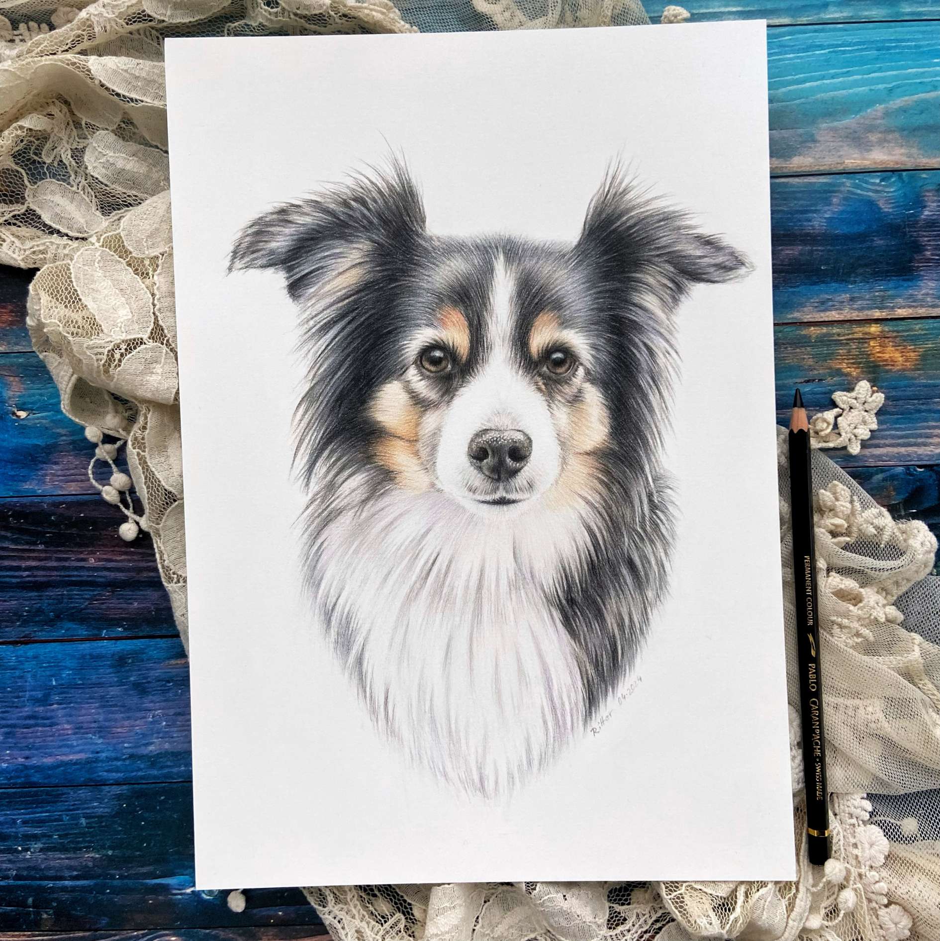 Hundeportrait-Zeichnung nach Fotovorlage