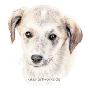 Wie viel kostet eine Hundeportrait-Zeichnung? Hier erfährst du es