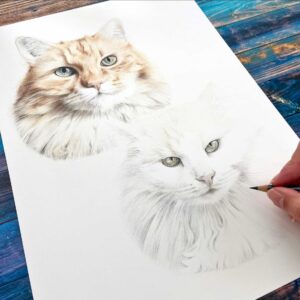 Tierportrait nach Fotovorlage zeichnen lassen von Kikis Artworks, zum Beispiel ein Katzen-Doppelportrait