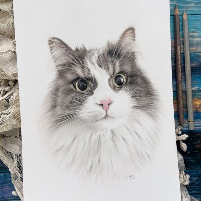 Katzenportrait-Zeichnung