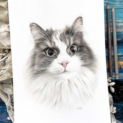 Tierportraits zeichnen lassen von Kikis Artworks